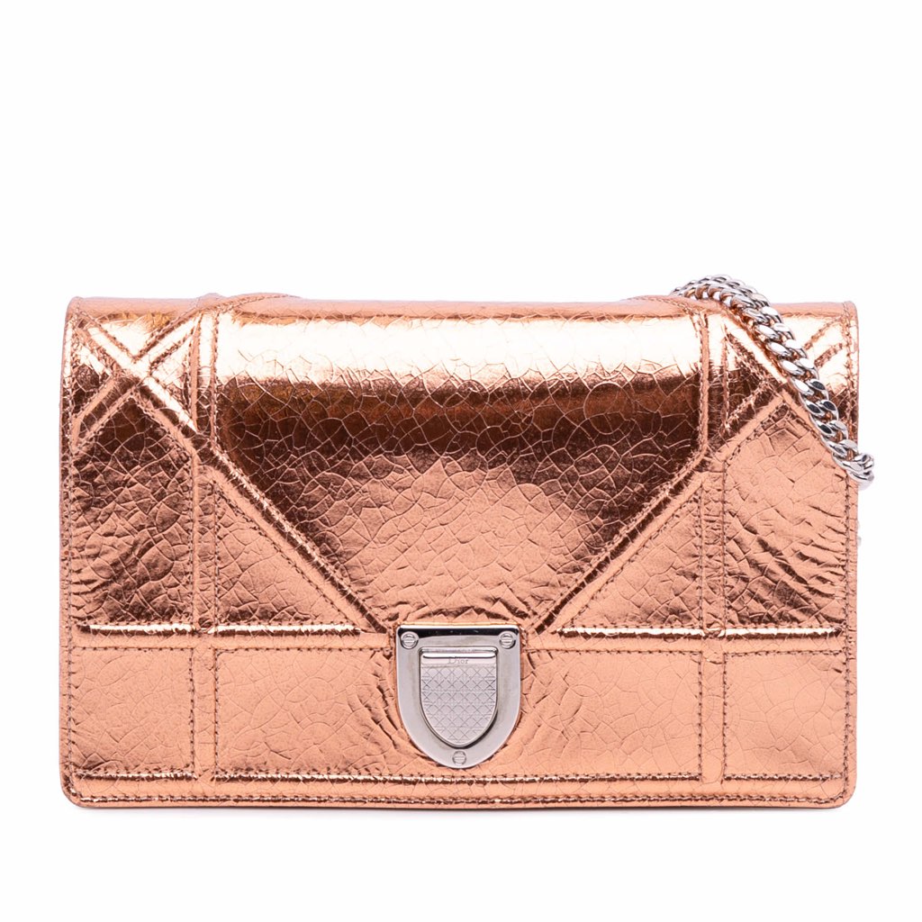 Dior Metallic Ceramic Effect Deerskin Diorama Wallet on Chain