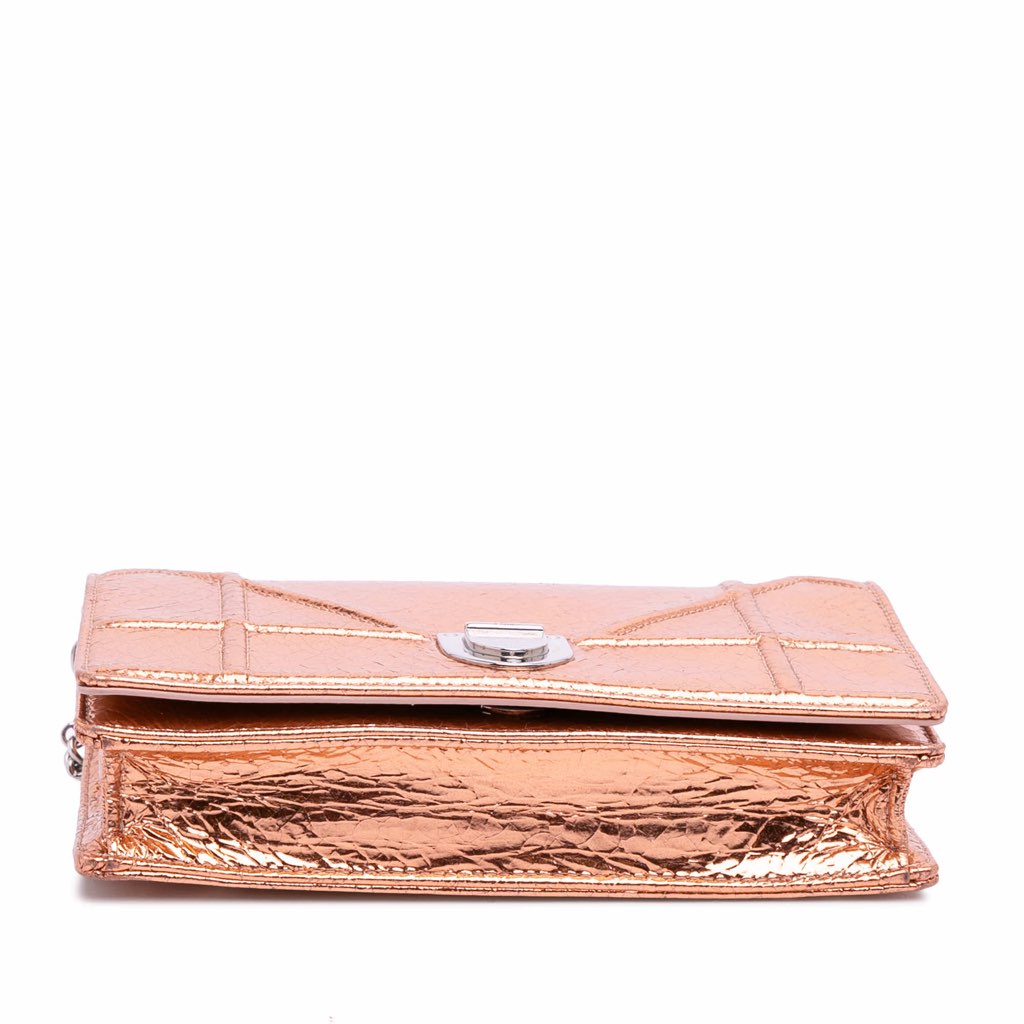 Dior Metallic Ceramic Effect Deerskin Diorama Wallet on Chain - Image 6
