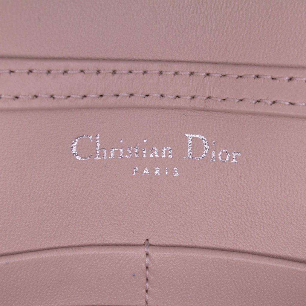 Dior Metallic Ceramic Effect Deerskin Diorama Wallet on Chain - Side view