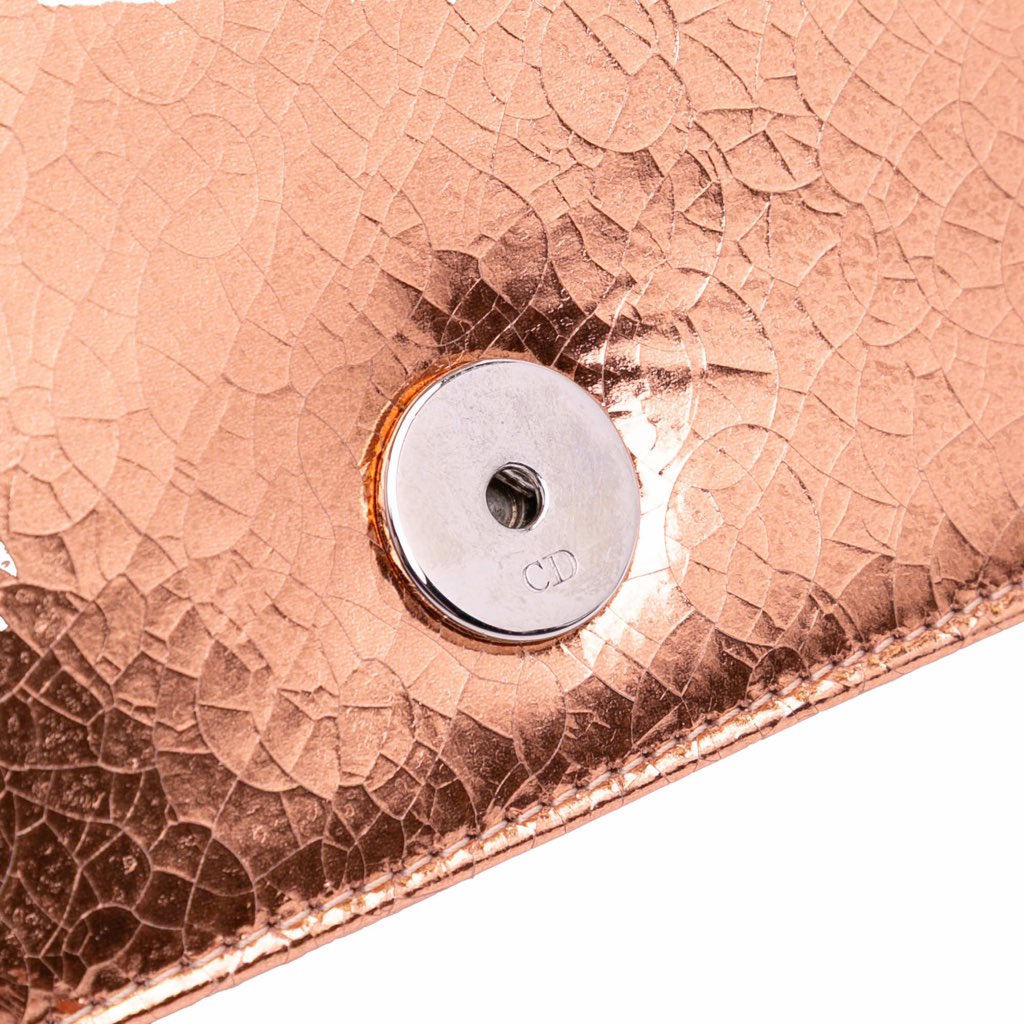 Dior Metallic Ceramic Effect Deerskin Diorama Wallet on Chain - Image 11