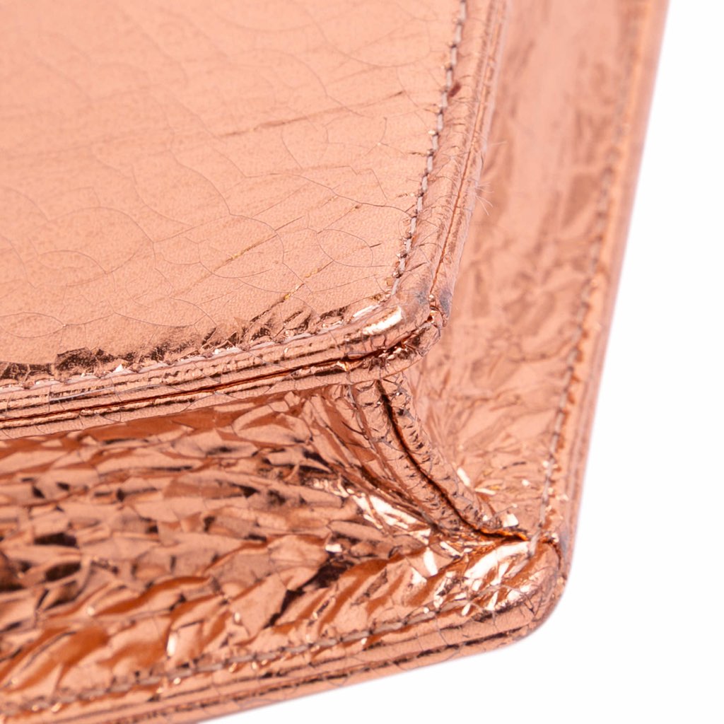 Dior Metallic Ceramic Effect Deerskin Diorama Wallet on Chain - Image 12