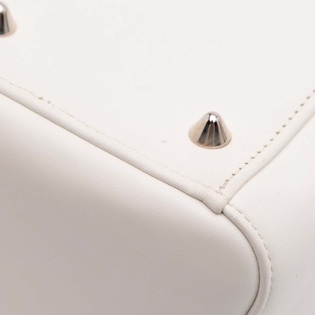 Dior Medium Lambskin Paradise Lady Dior - Image 10