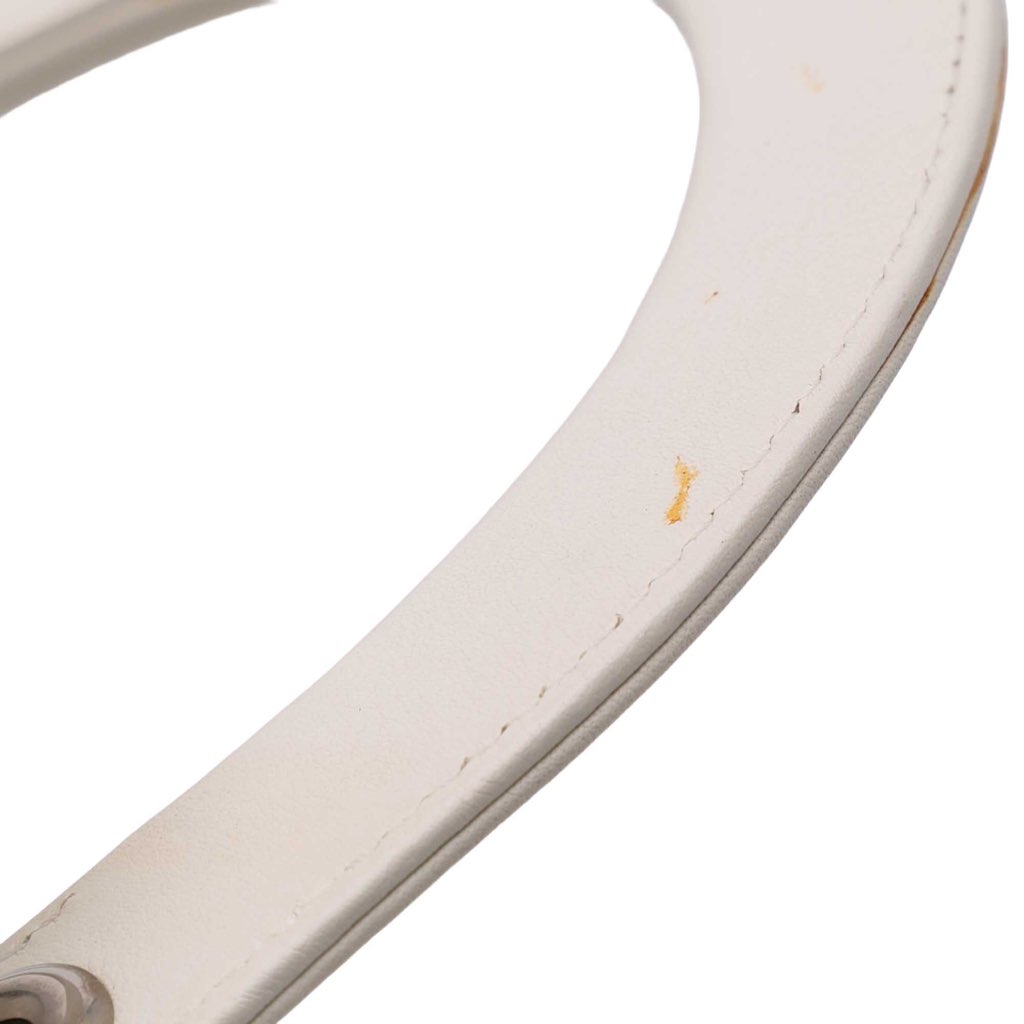 Dior Medium Lambskin Paradise Lady Dior - Image 12