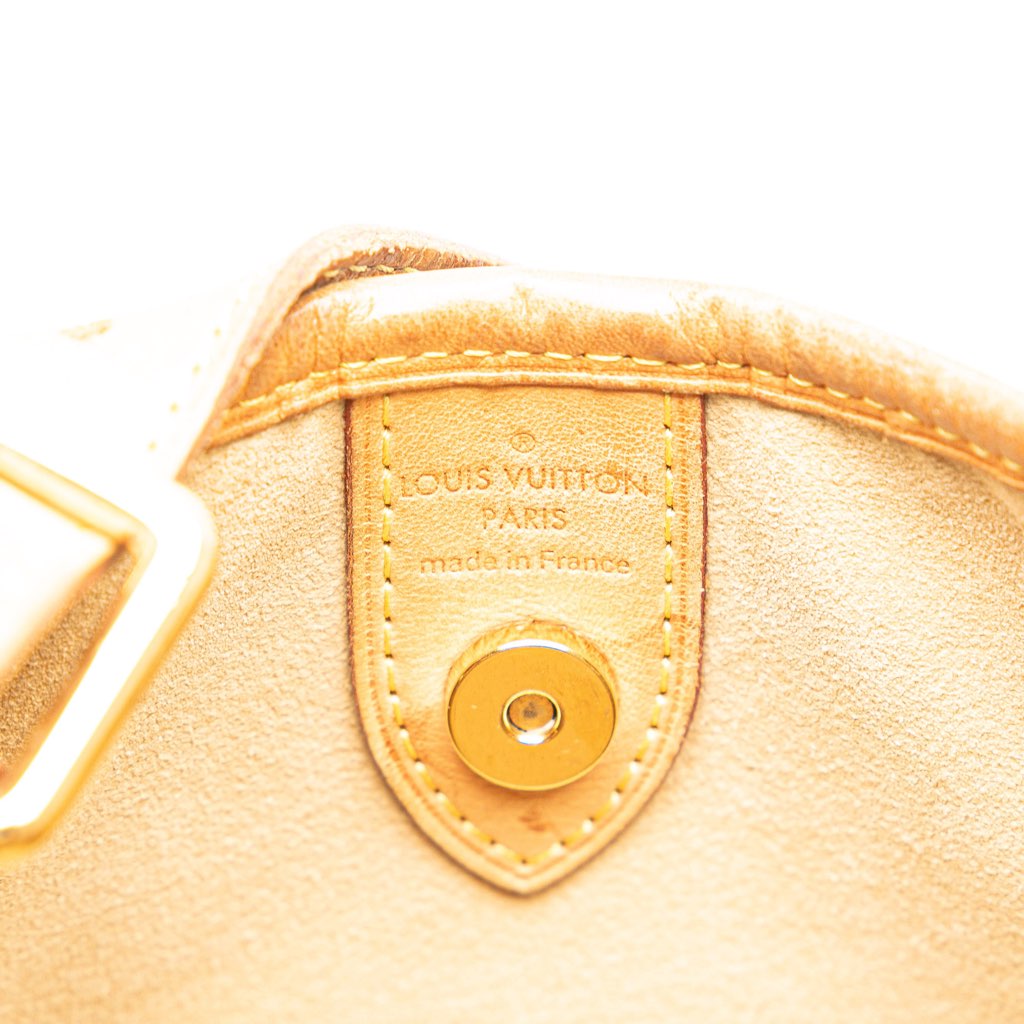 Louis Vuitton Monogram Galliera PM - 5