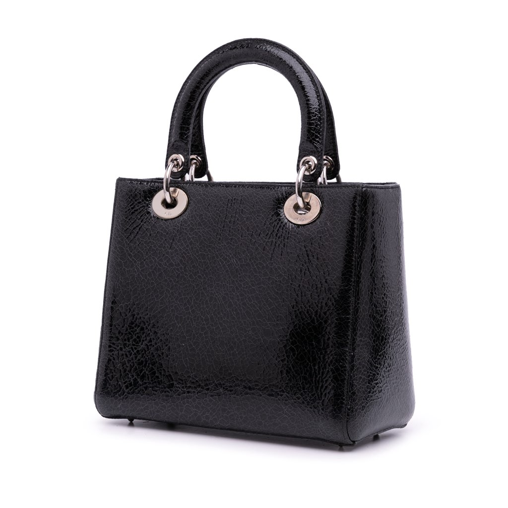 Dior Medium Ceramic Effect Deerskin Jeweled Swan Lady Dior - Back view