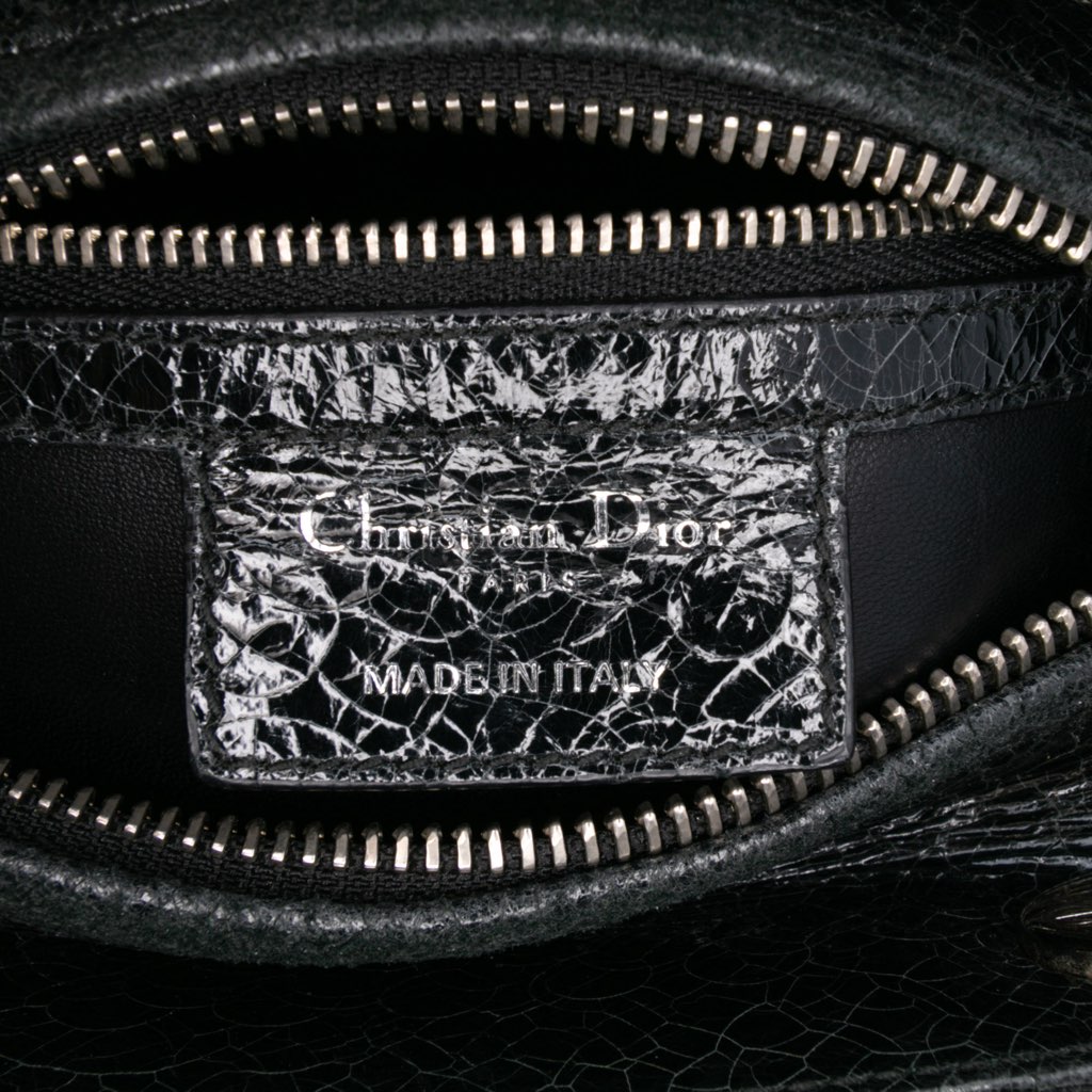 Dior Medium Ceramic Effect Deerskin Jeweled Swan Lady Dior - Side view