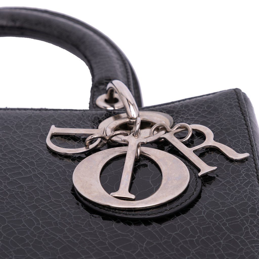 Dior Medium Ceramic Effect Deerskin Jeweled Swan Lady Dior - Detail 2