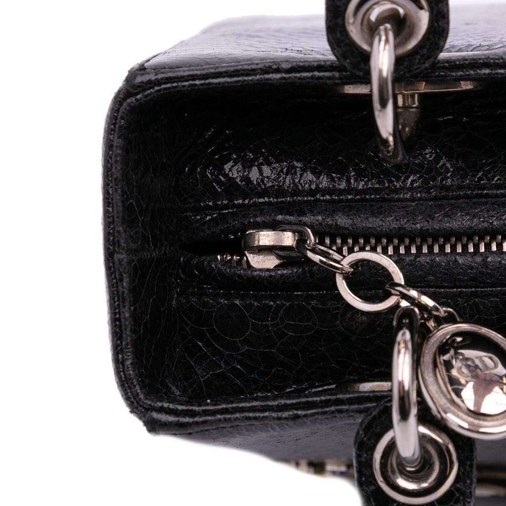 Dior Medium Ceramic Effect Deerskin Jeweled Swan Lady Dior - Image 10