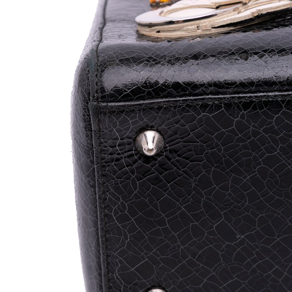 Dior Medium Ceramic Effect Deerskin Jeweled Swan Lady Dior - Image 11