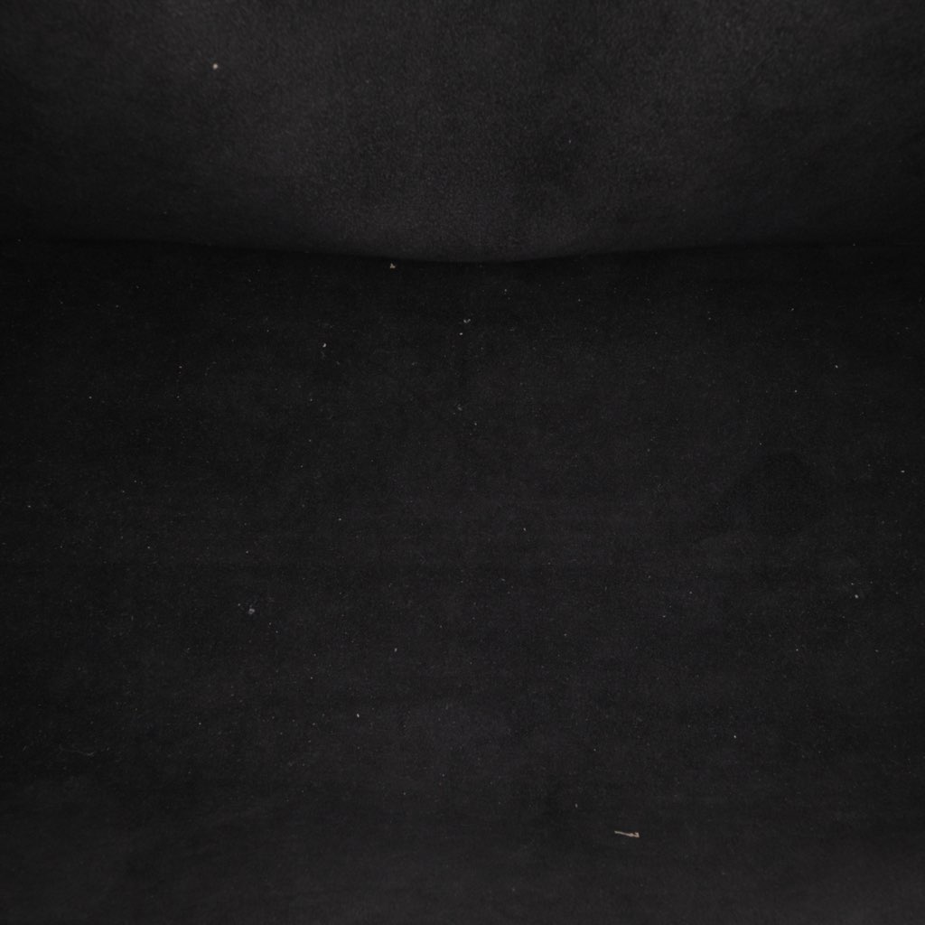 Louis Vuitton Electric Epi Pont Neuf GM - 4