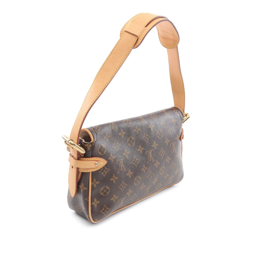 Louis Vuitton Monogram Hudson PM - 2