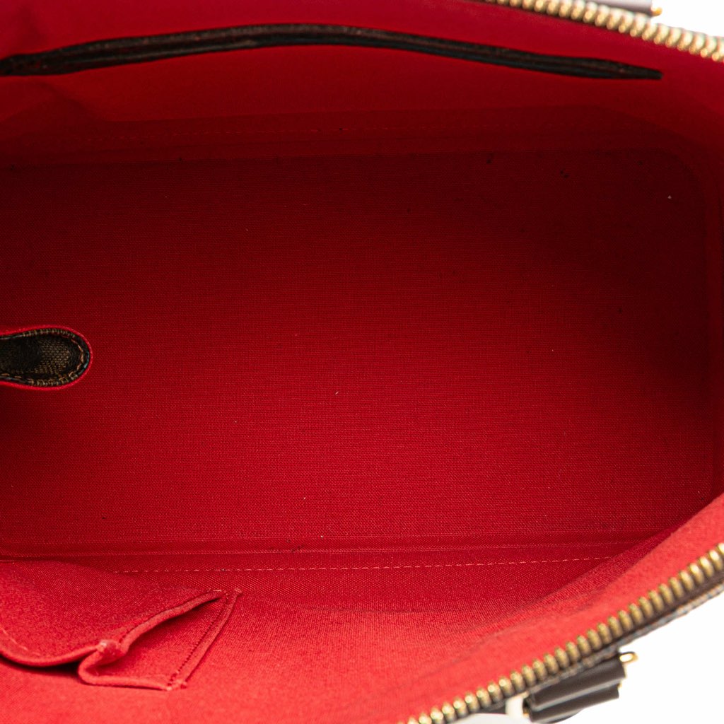 Louis Vuitton Damier Ebene Alma PM - 4