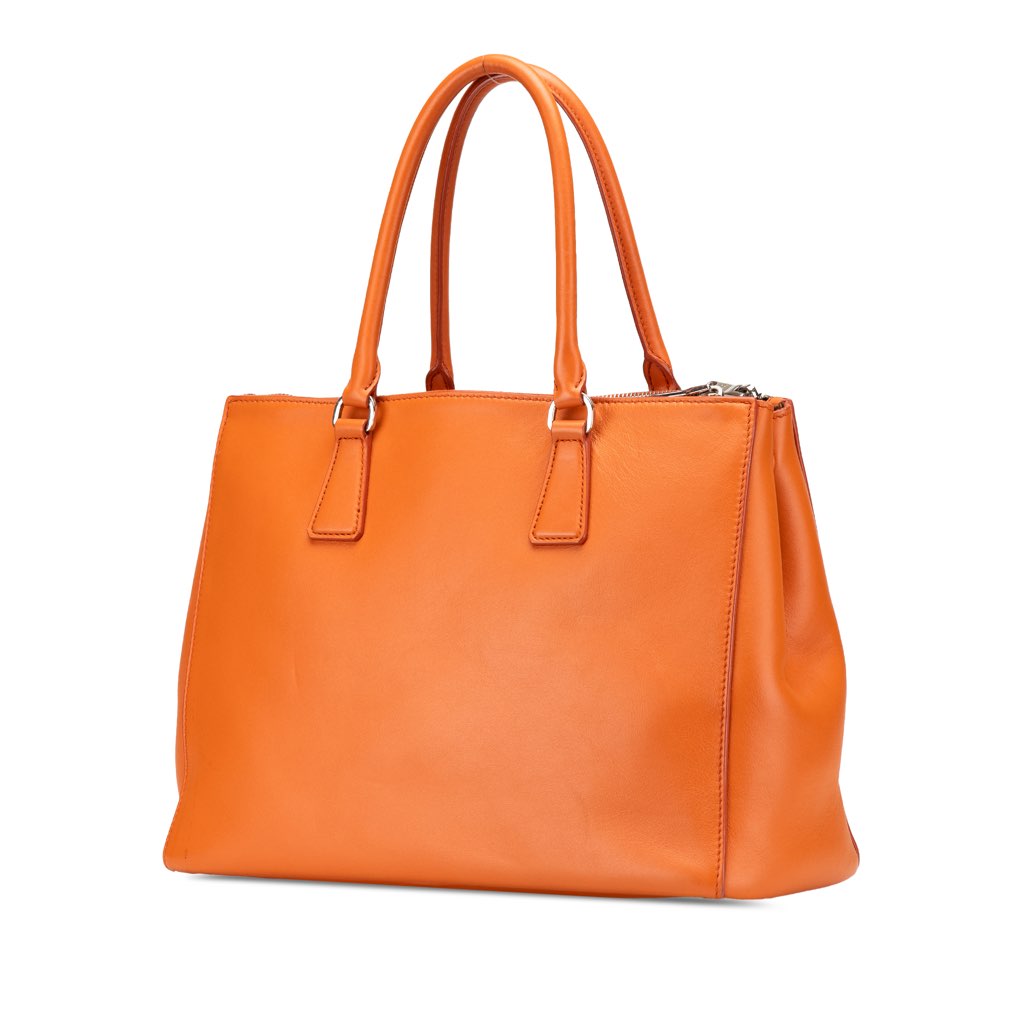 Prada Medium Soft Calf Galleria Double Zip Tote - Back view