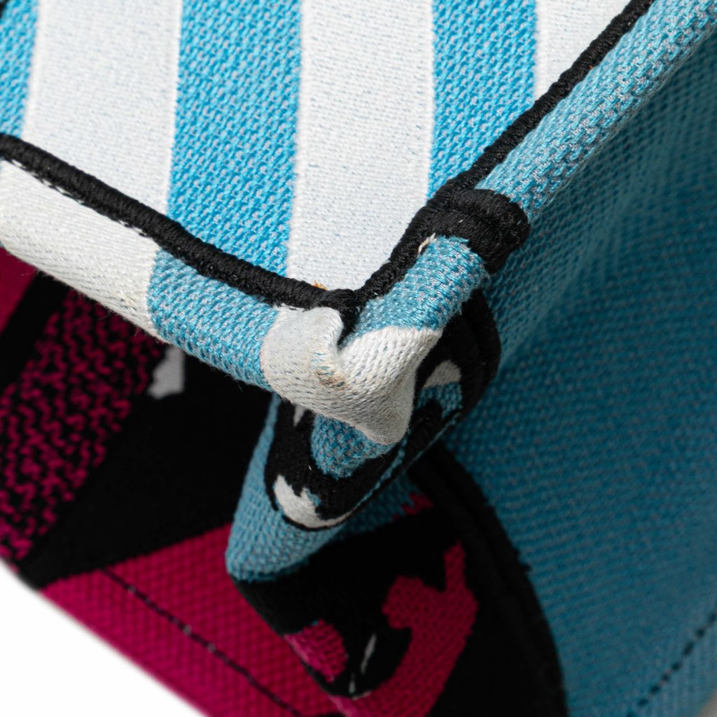 Dior Medium Embroidered Canvas Zebra D Jungle Pop Book Tote - Image 13