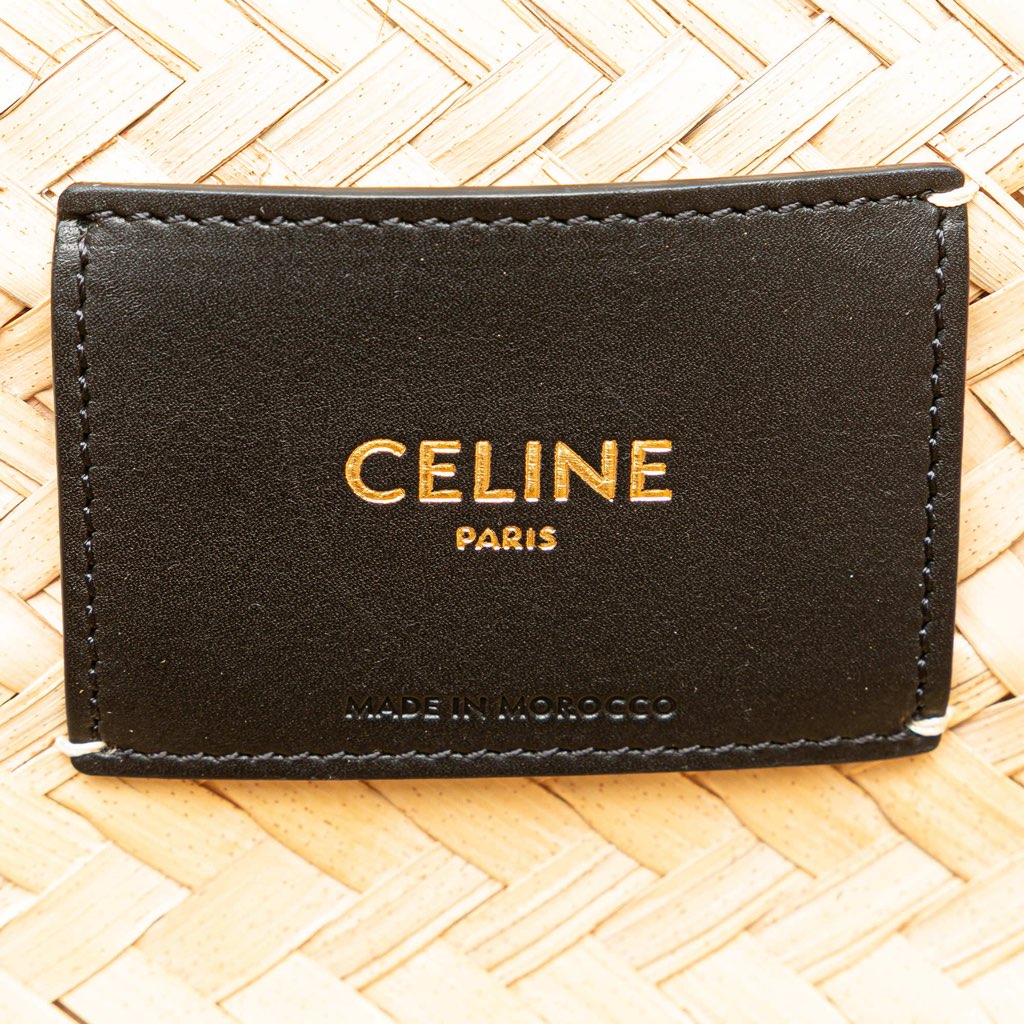 Celine Andre Butzer Large Raffia Classic Wanderer Embroidered Shopping Tote - Side view