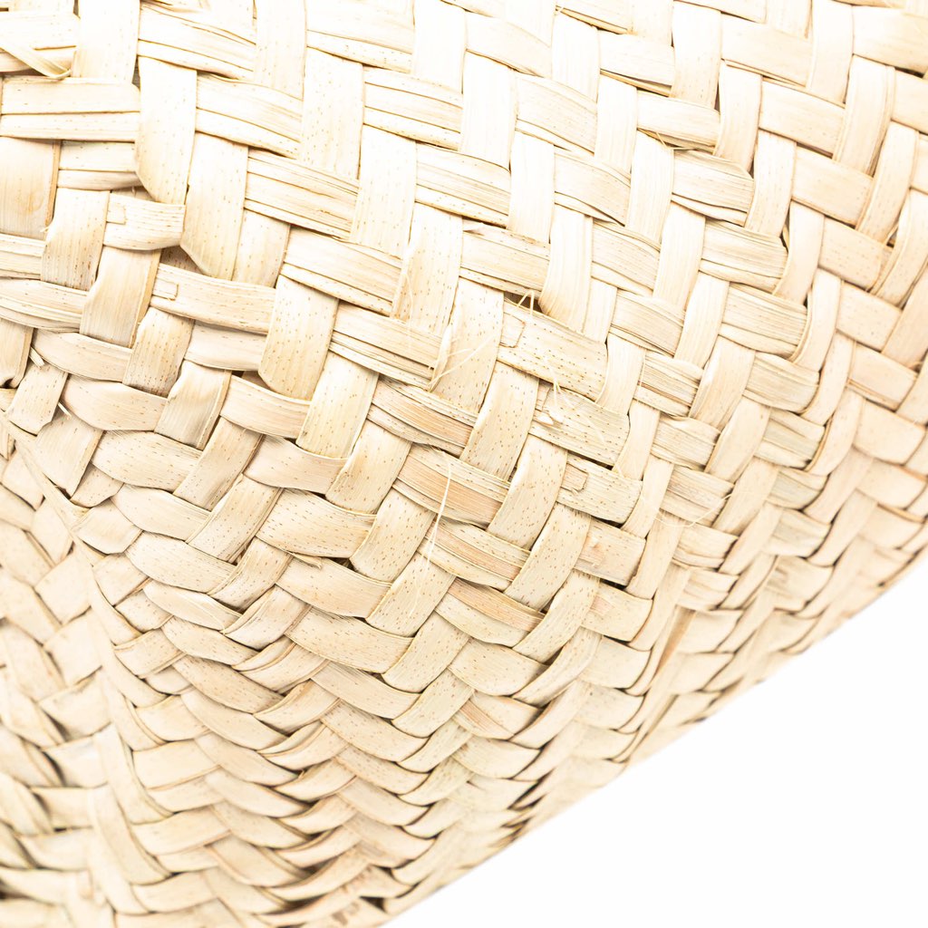 Celine Andre Butzer Large Raffia Classic Wanderer Embroidered Shopping Tote - Image 11