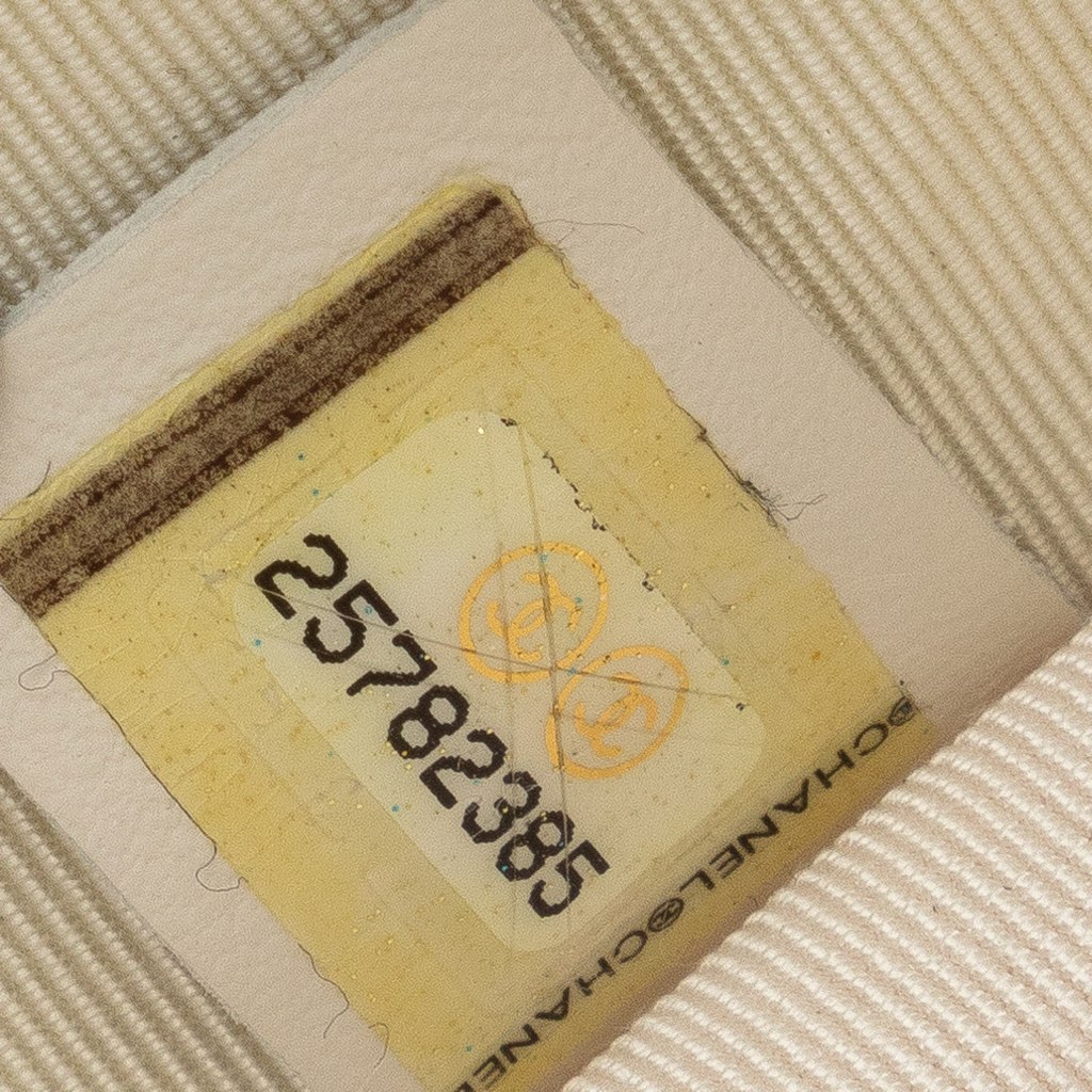 Chanel Aquarium Backpack - Image 10