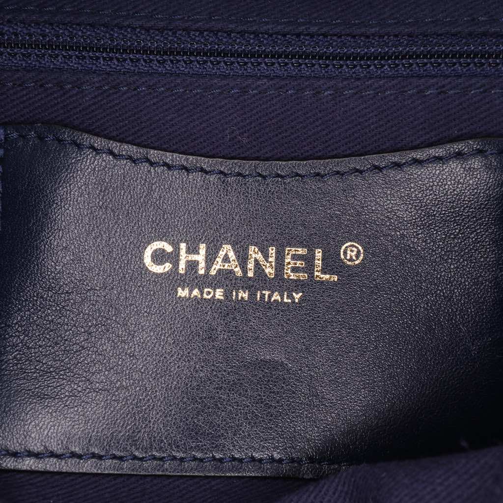 Chanel Small Quilted Iridescent Calfskin Shiva Flap - 5