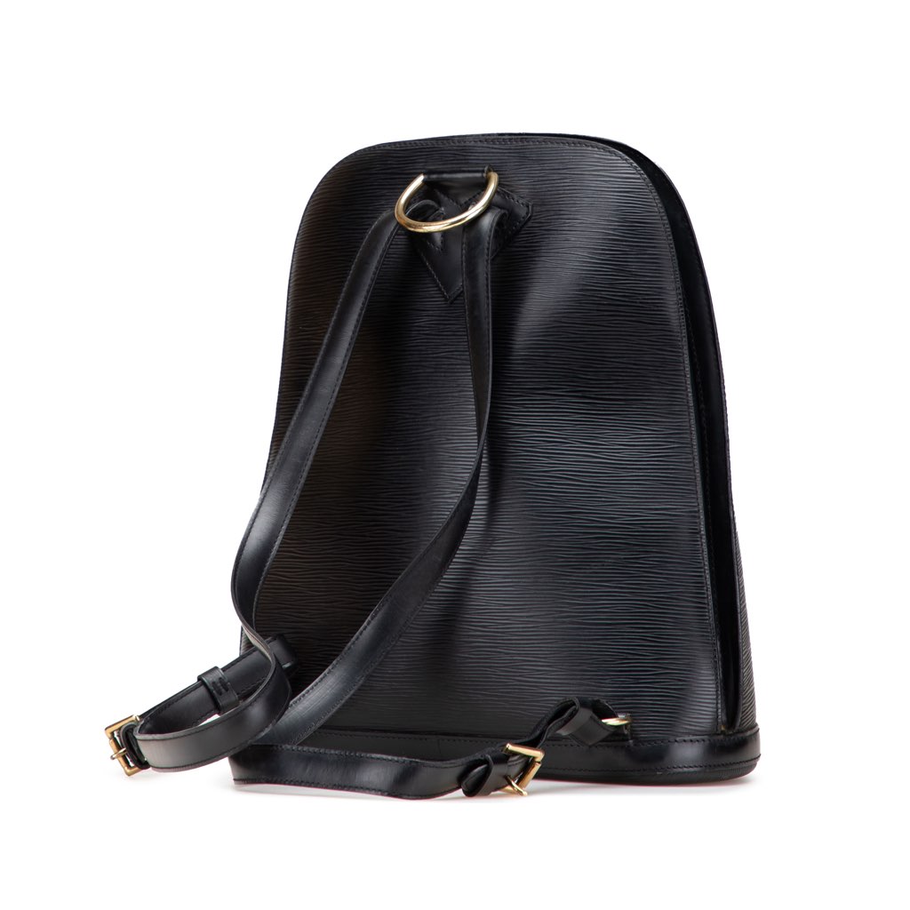 Louis Vuitton Epi Gobelins - Back view