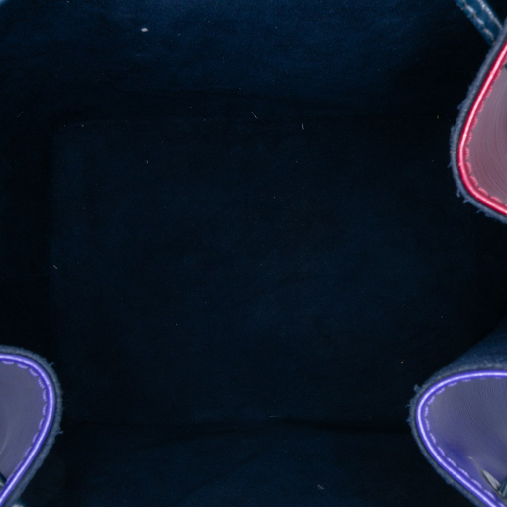 Louis Vuitton Epi Tricolor Petit Noe - 4