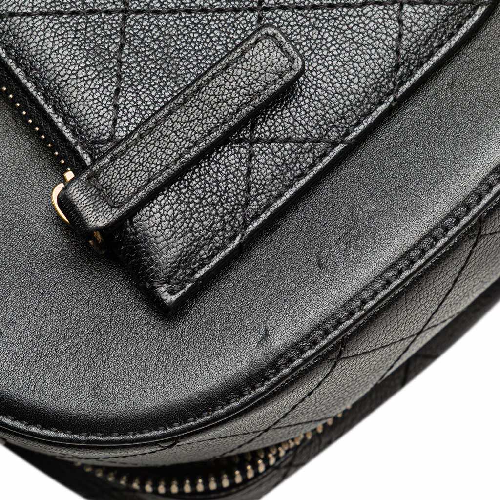 Chanel Goatskin and Quilted Calfskin Coco Curve Vanity Case - Image 14