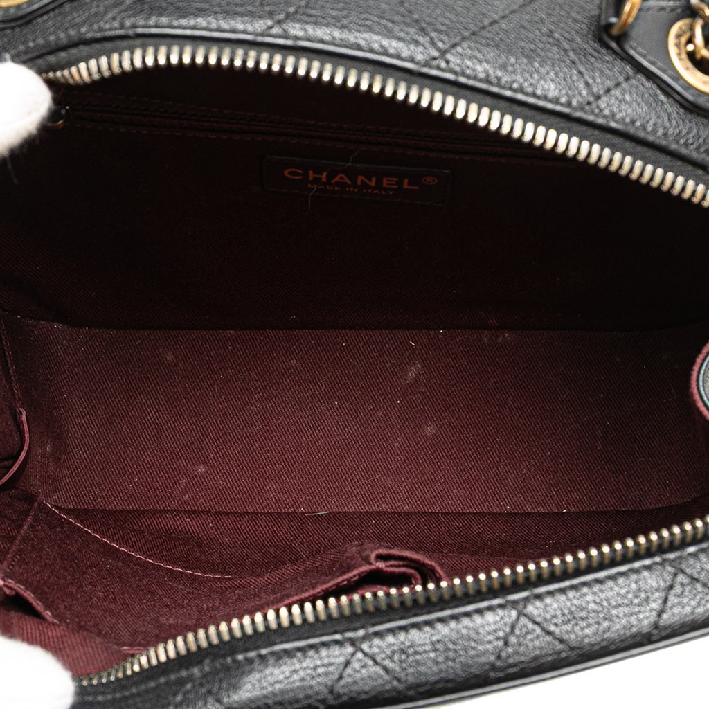 Chanel Goatskin and Quilted Calfskin Coco Curve Vanity Case - 4