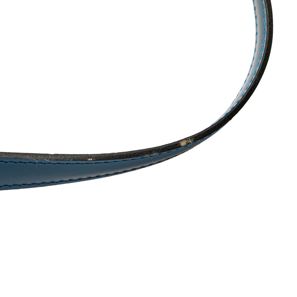 Louis Vuitton Epi Lussac - Image 12