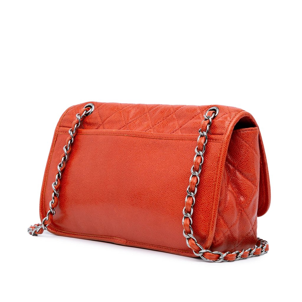 Chanel Medium Grained Calfskin Natural Beauty Flap - 2