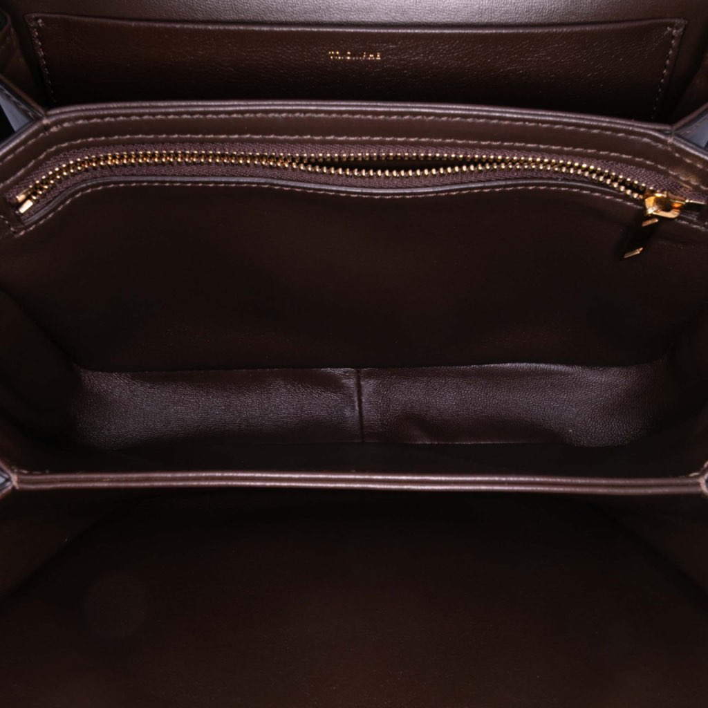 Celine Classique Shiny Calfskin Triomphe Crossbody - 4