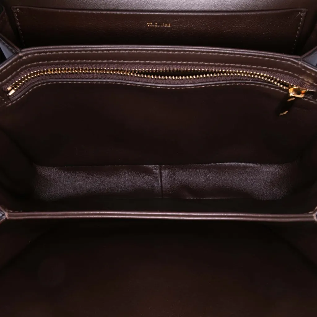 Celine Classique Shiny Calfskin Triomphe Crossbody Brown Leather Good - Model View