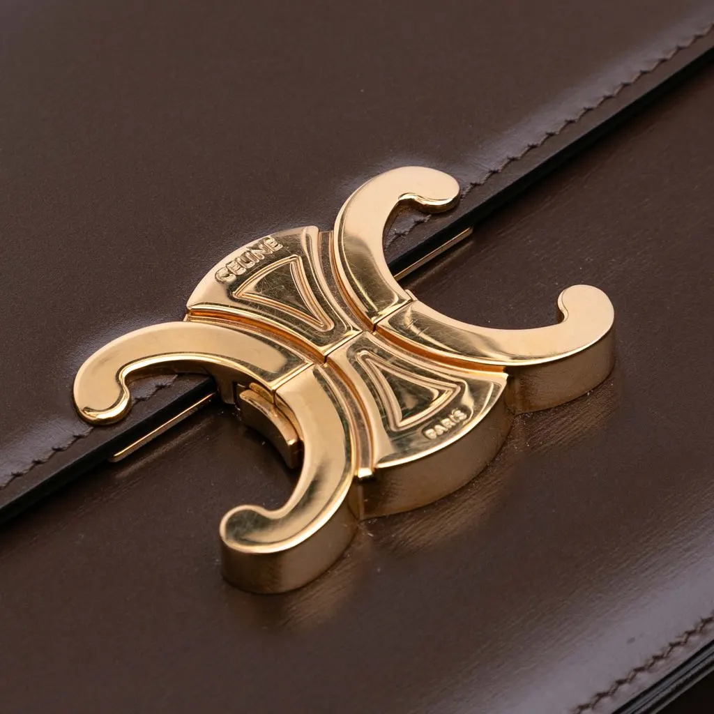 Celine Classique Shiny Calfskin Triomphe Crossbody Brown Leather Good - Box View