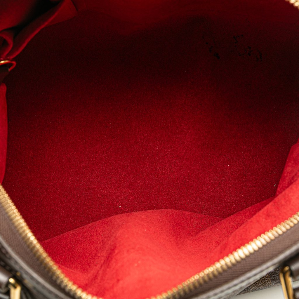 Louis Vuitton Damier Ebene Trevi GM - 4