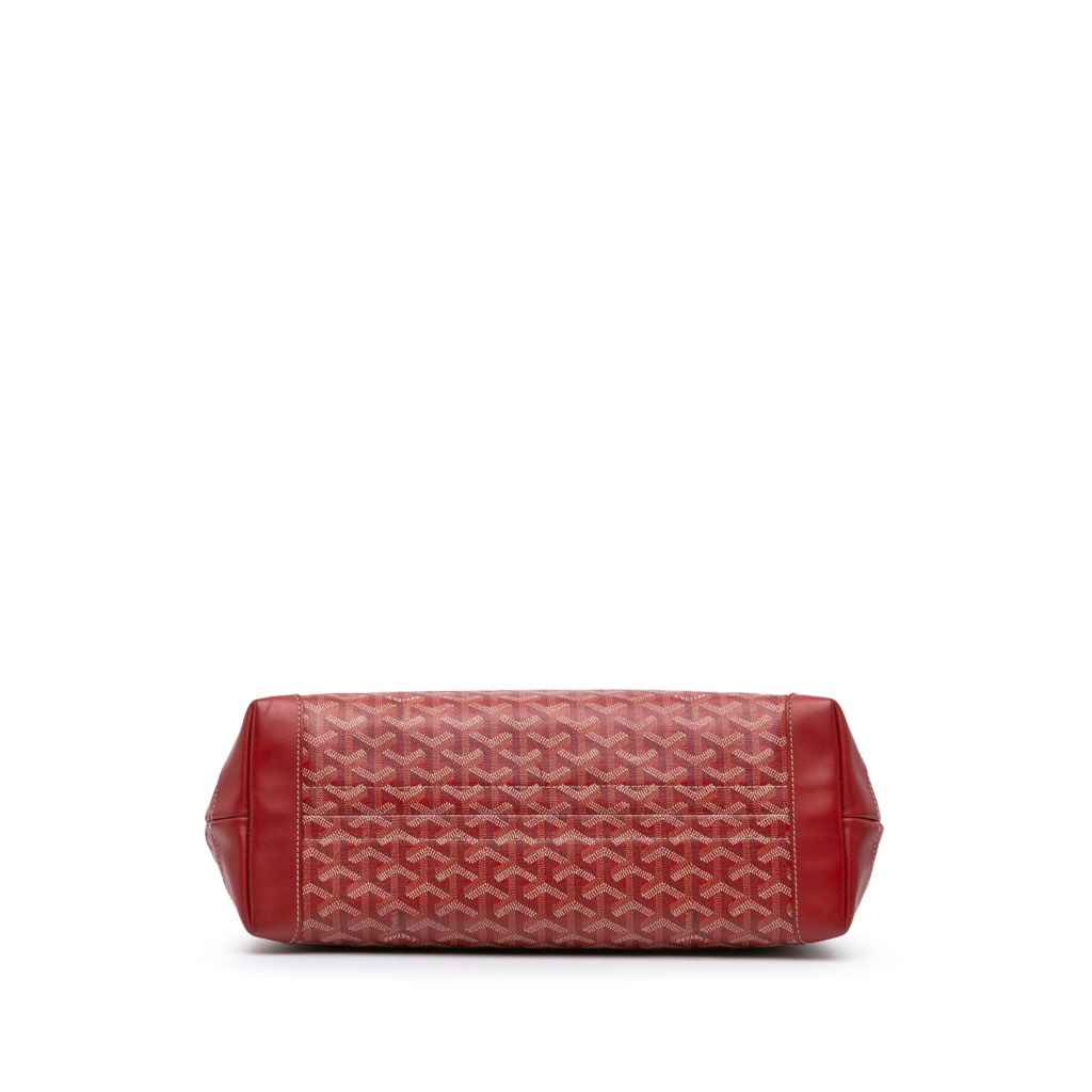 Goyard Goyardine Bellechasse PM - 3