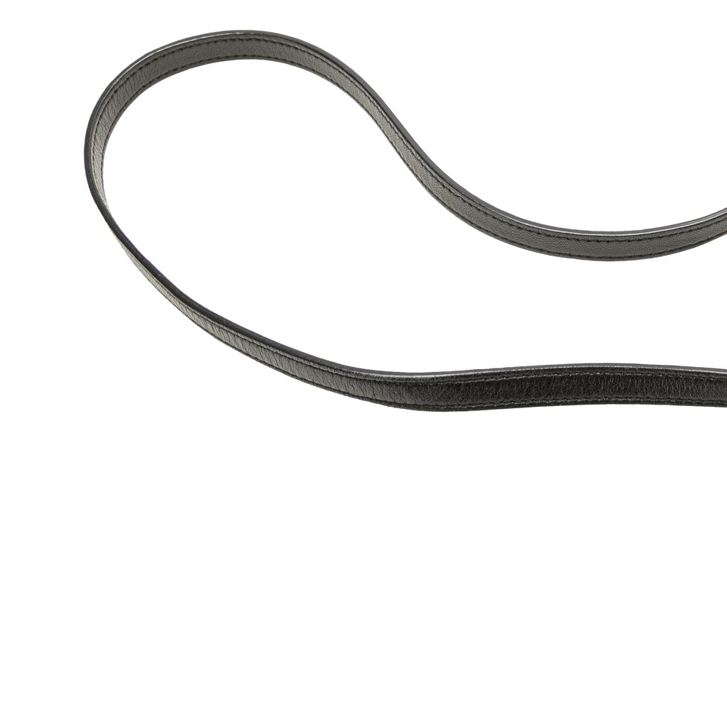 Saint Laurent Antiqued Lambskin Sid Flat Crossbody - Image 14