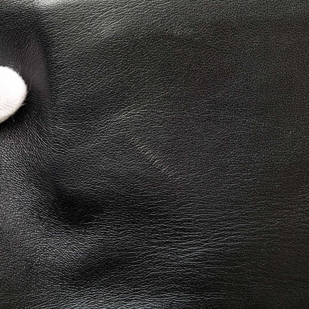 Saint Laurent Antiqued Lambskin Sid Flat Crossbody - Image 10