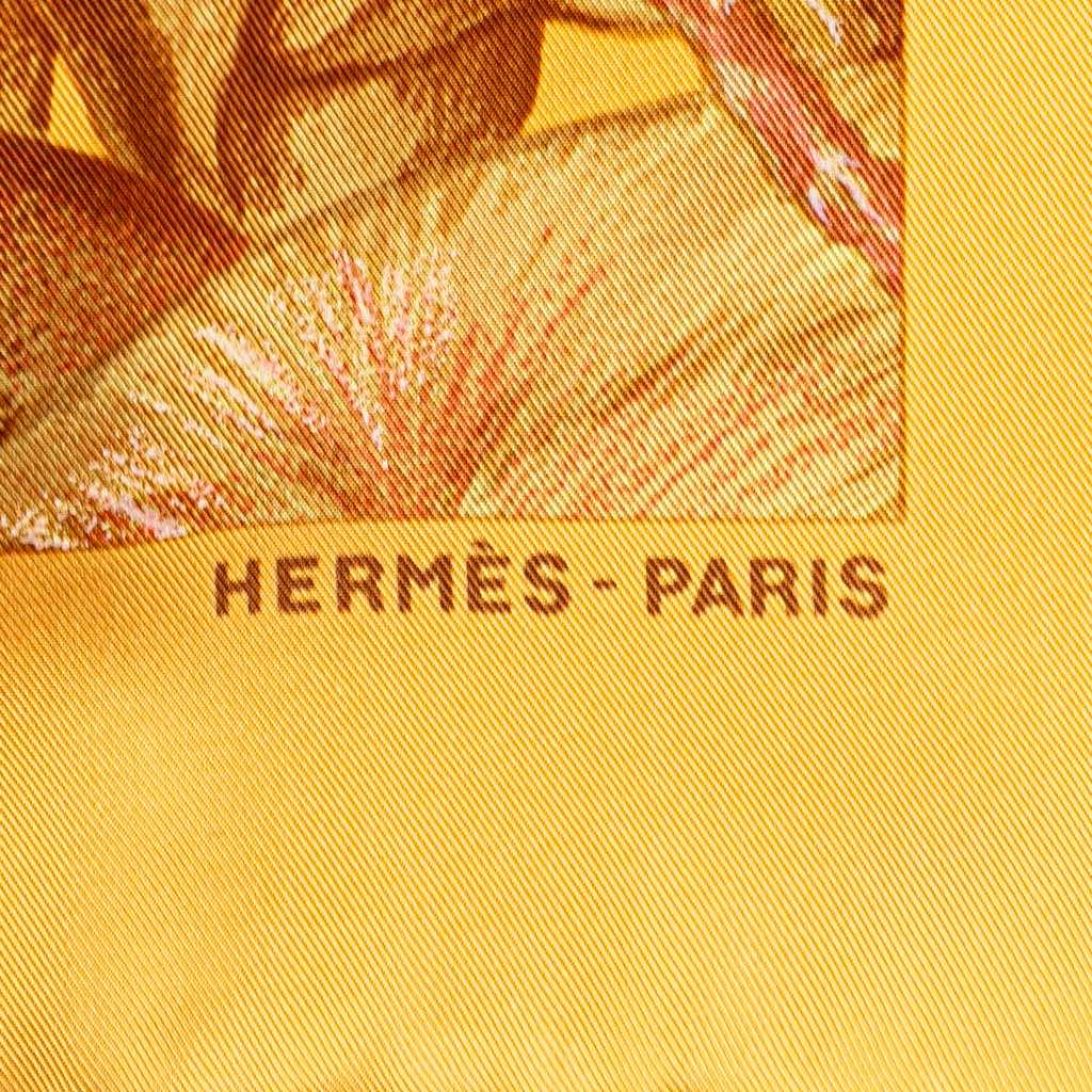 Hermès Jardin Creole Detail Silk Scarf - 3