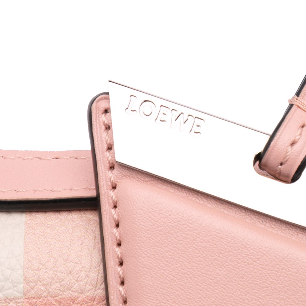 Loewe Small Leather Gingham Barcelona Crossbody - Detail 2