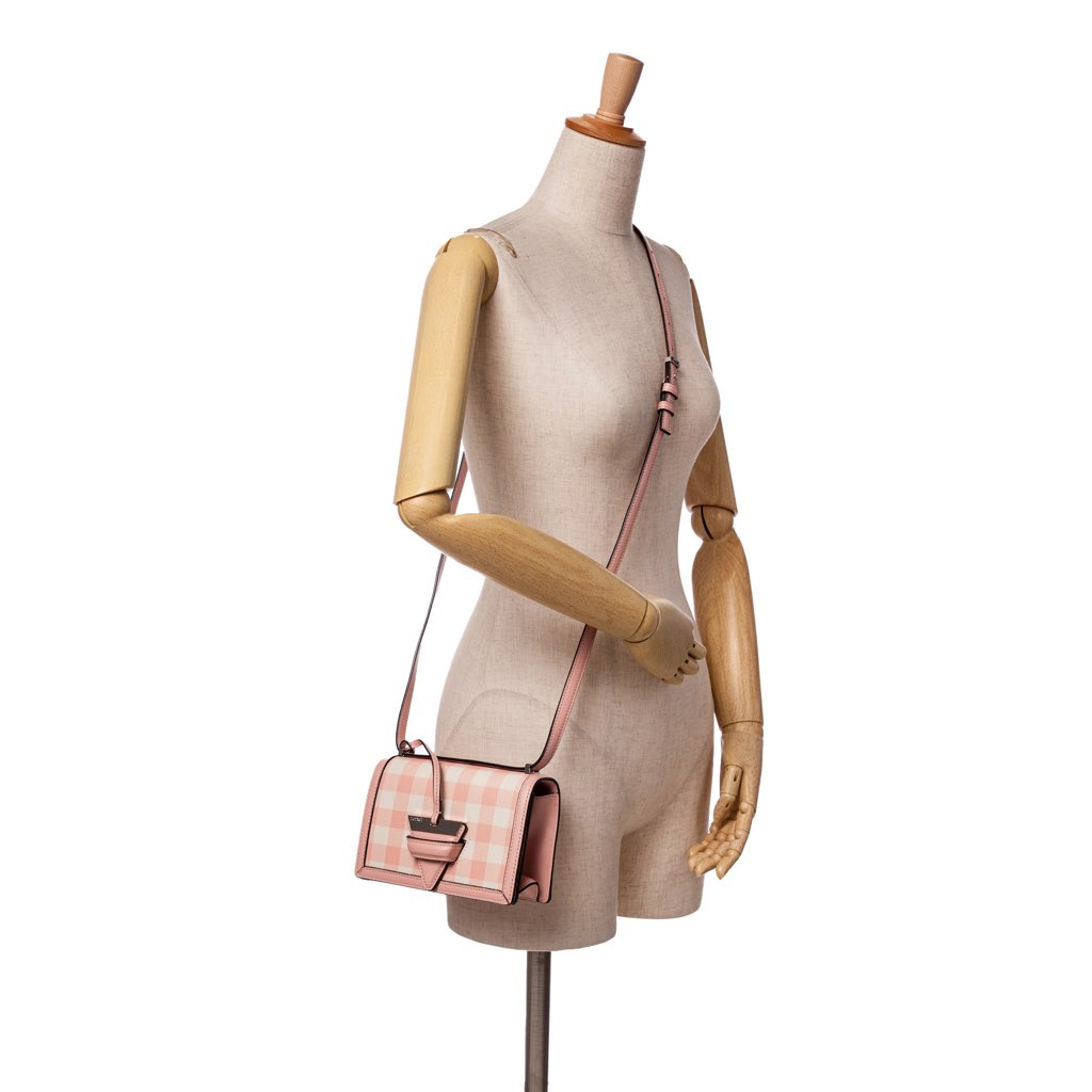 Loewe Small Leather Gingham Barcelona Crossbody - Image 12