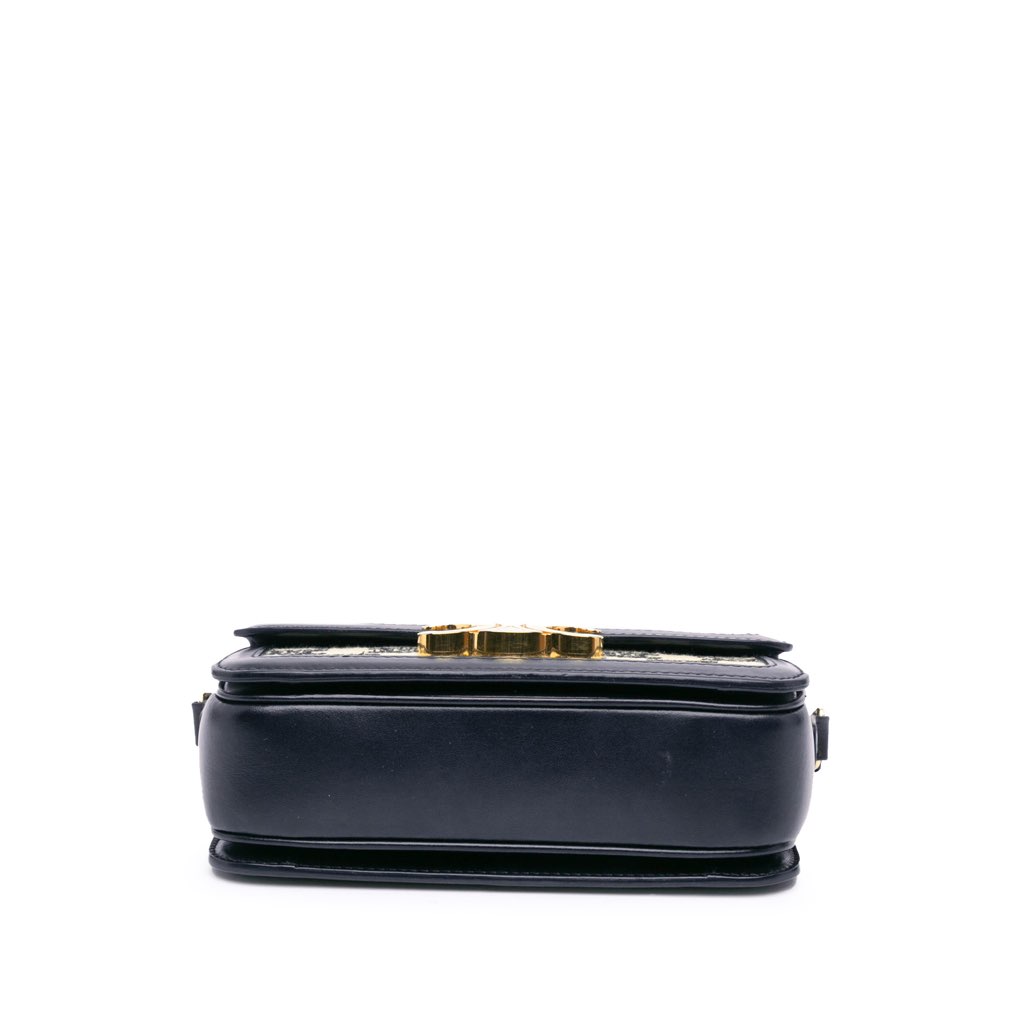 Celine Teen Embroidered Canvas and Calfskin Triomphe Crossbody - 3