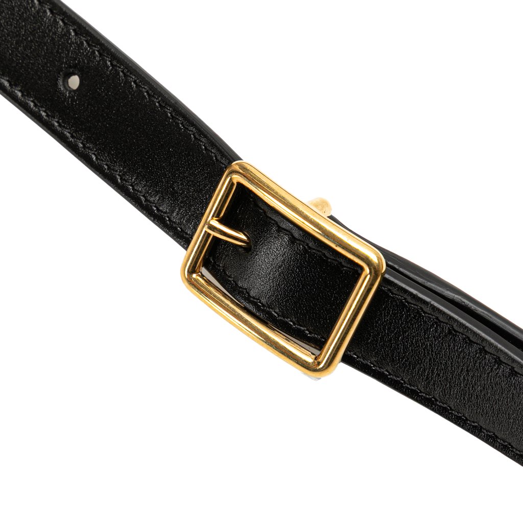 Celine Small Calfskin Besace 16 Crossbody - Image 15