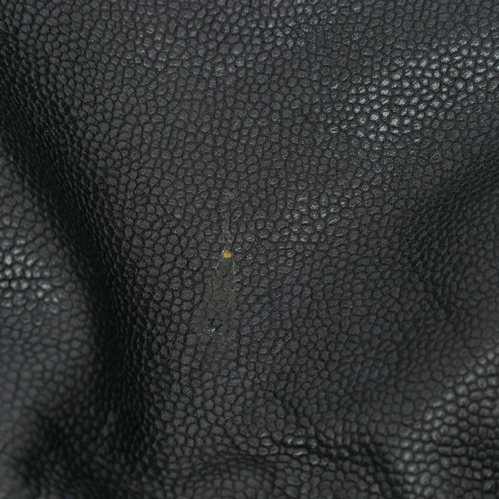 Chanel Caviar 31 Hobo Bag - Image 11