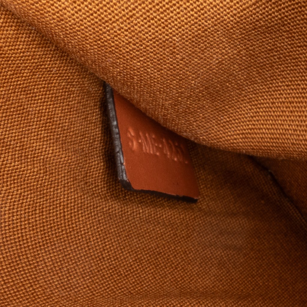 Celine Medium Triomphe Coated Canvas Folco Crossbody - 5