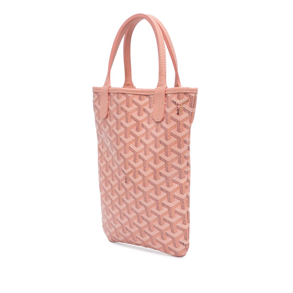 Goyard Goyardine Poitiers Claire Voie - 2