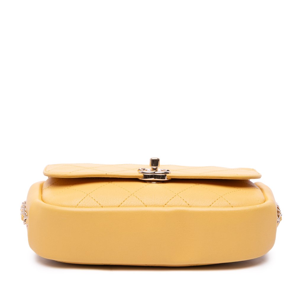 Chanel Quilted Goatskin Casual Trip Flap - 3