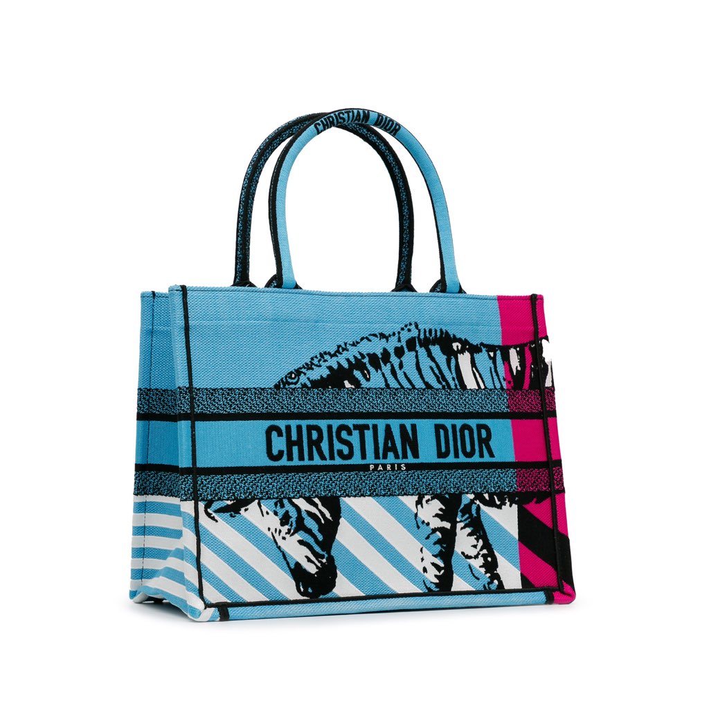 Dior Medium Embroidered Canvas Zebra D Jungle Pop Book Tote - 2