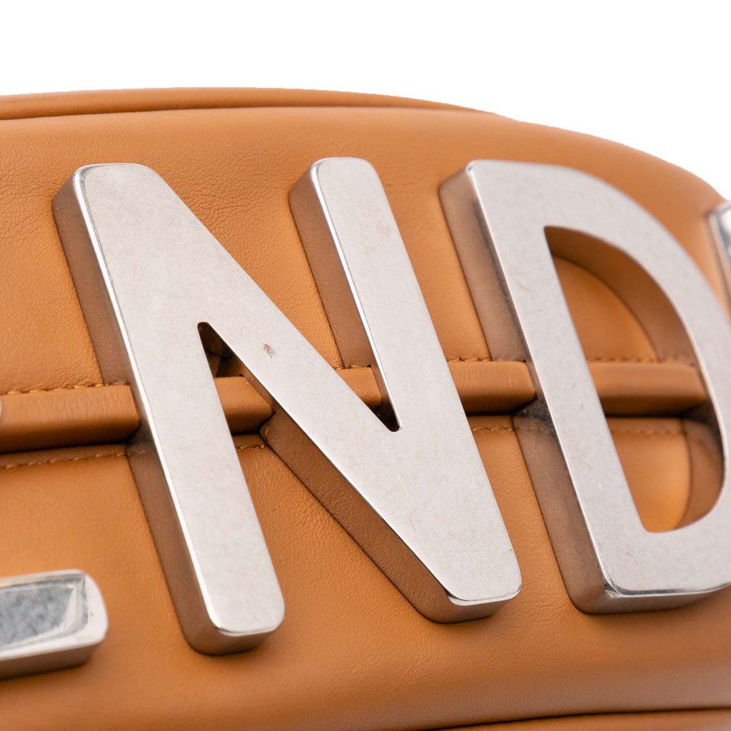 Fendi Medium Leather Fendigraphy Hobo - Image 10