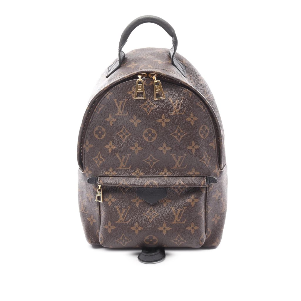 Louis Vuitton Monogram Palm Springs PM