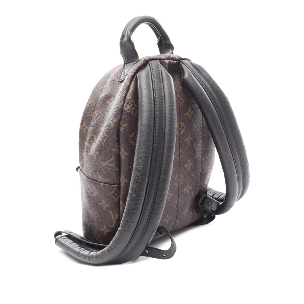 Louis Vuitton Monogram Palm Springs PM - 2
