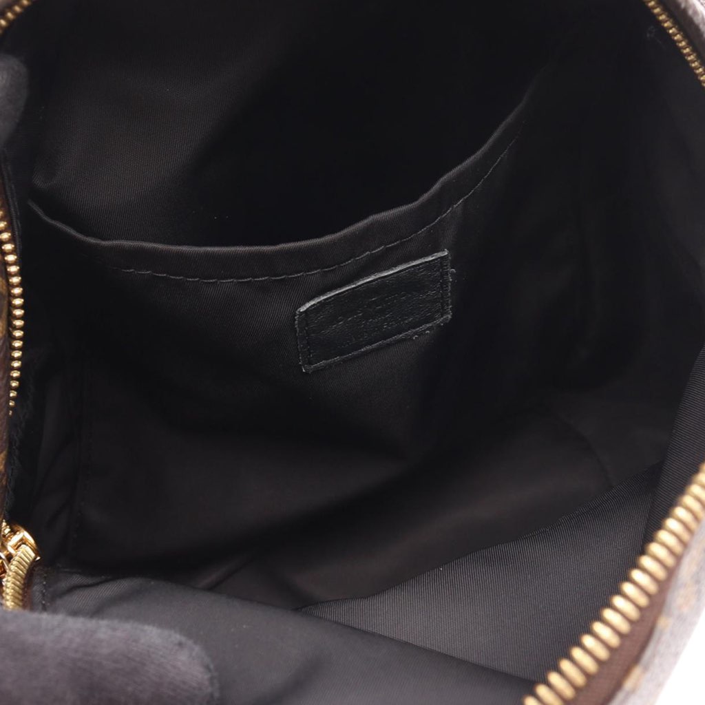 Louis Vuitton Monogram Palm Springs PM - 3