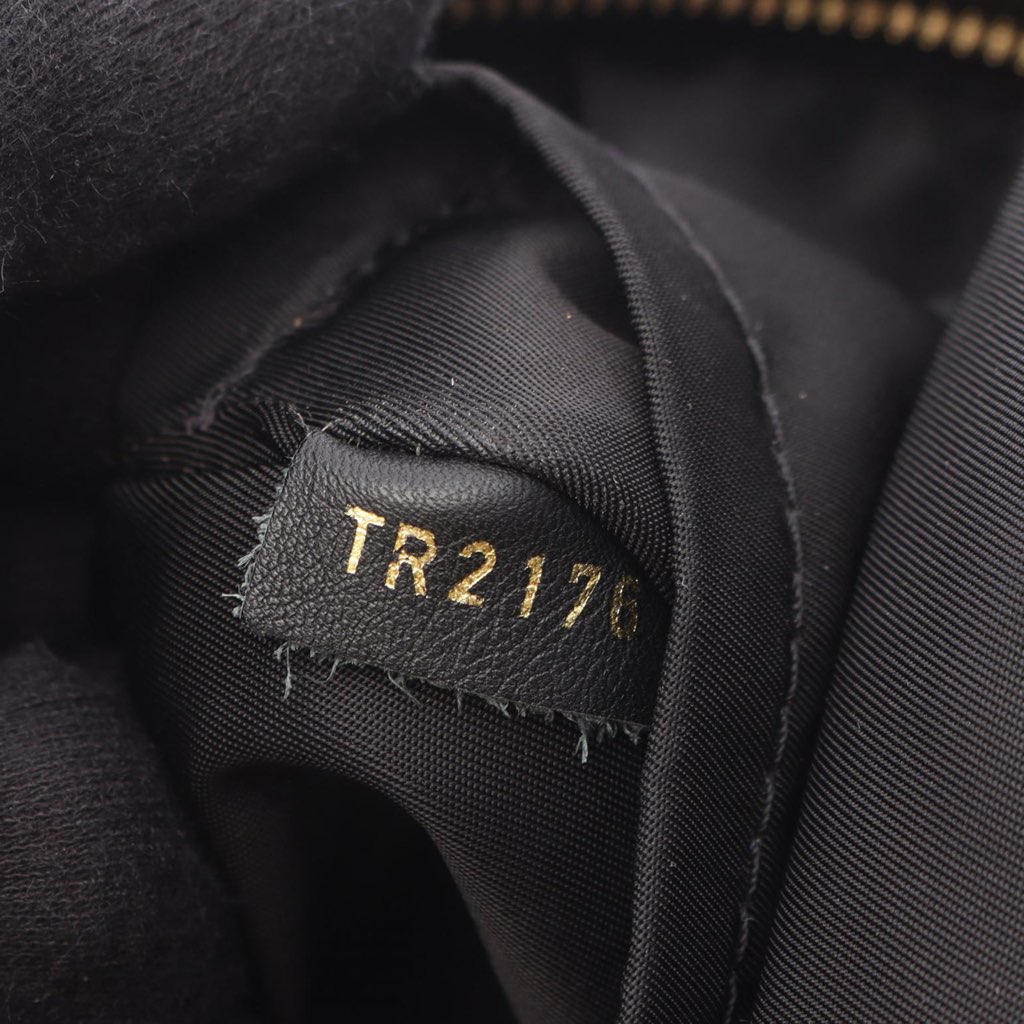 Louis Vuitton Monogram Palm Springs PM - 5